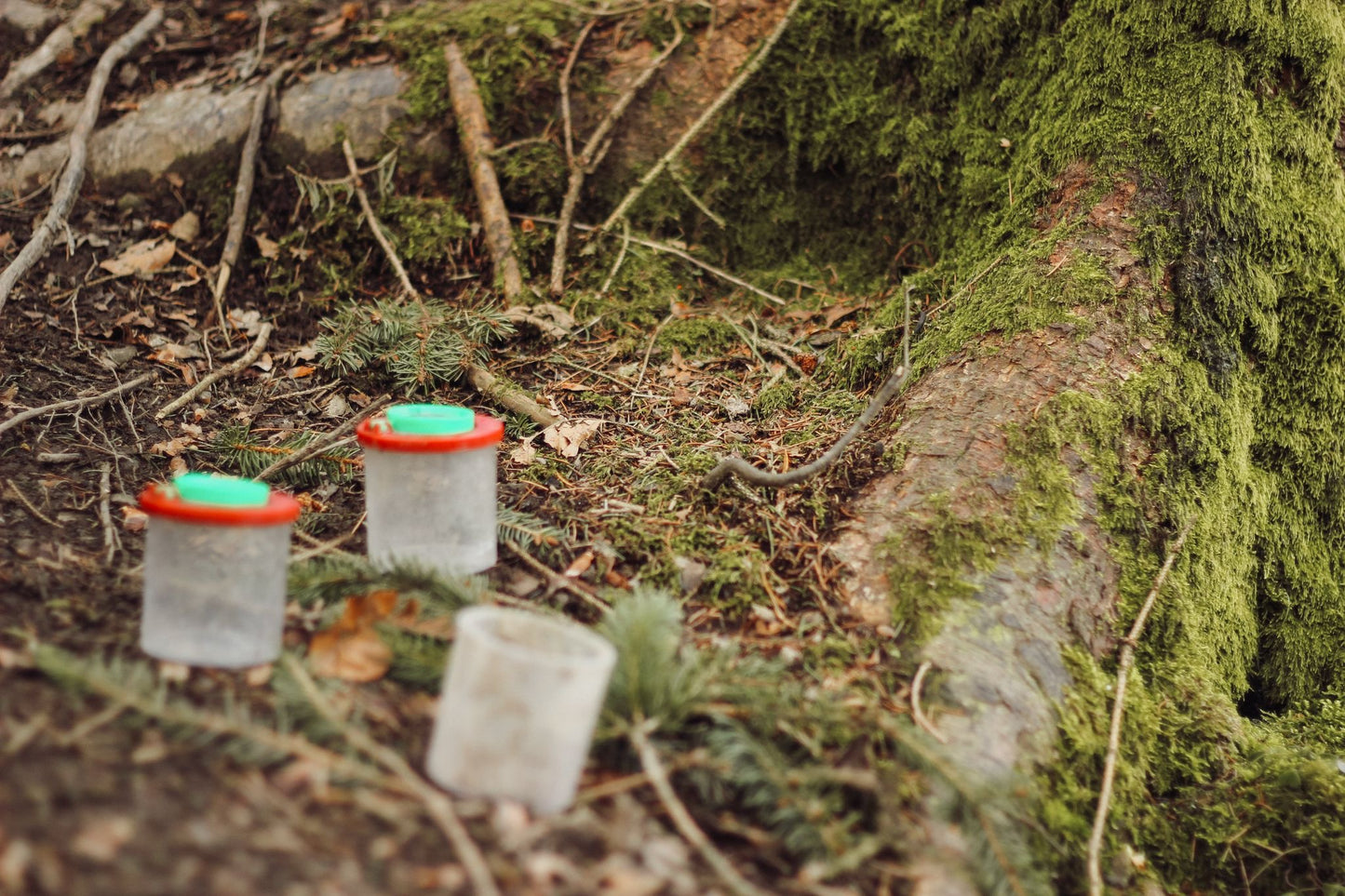 Wald-und Erlebnispädagogik