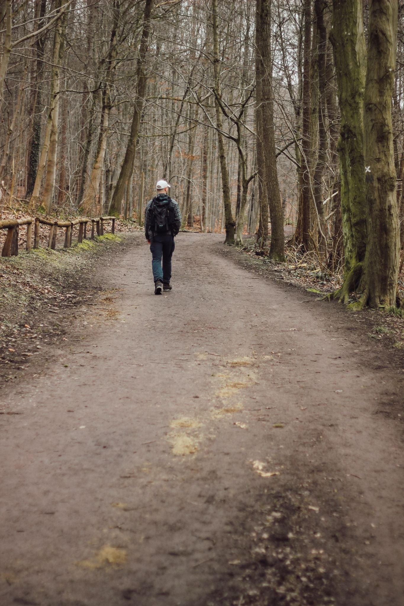 Wald-und Erlebnispädagogik