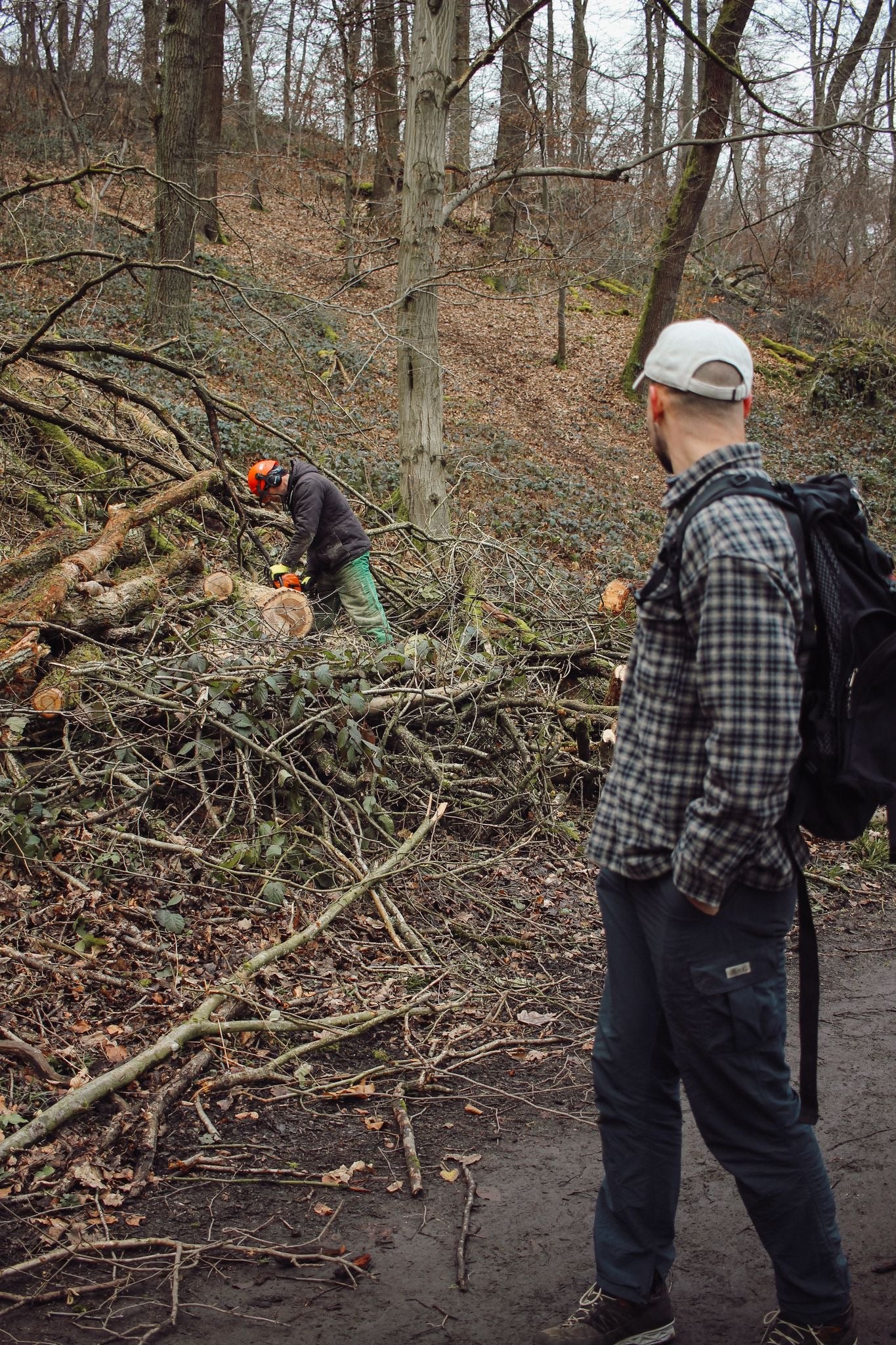 Wald-und Erlebnispädagogik
